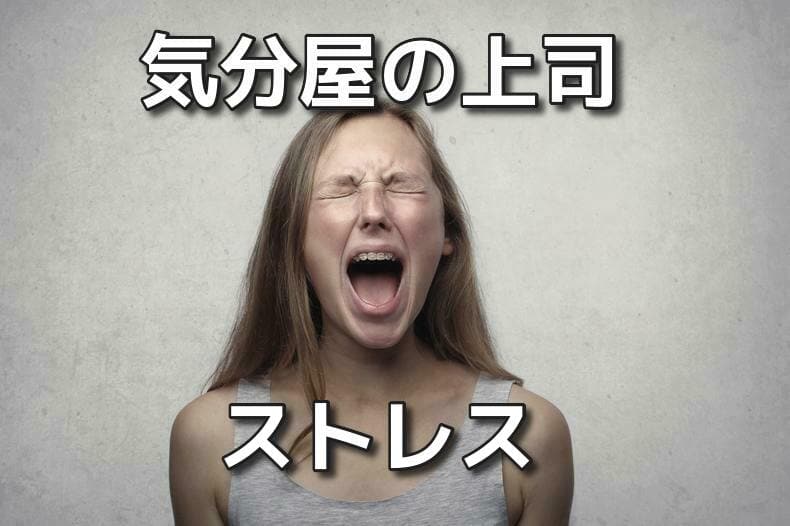 気分屋な上司によるストレスは超危険 パワハラ 正しい対処法